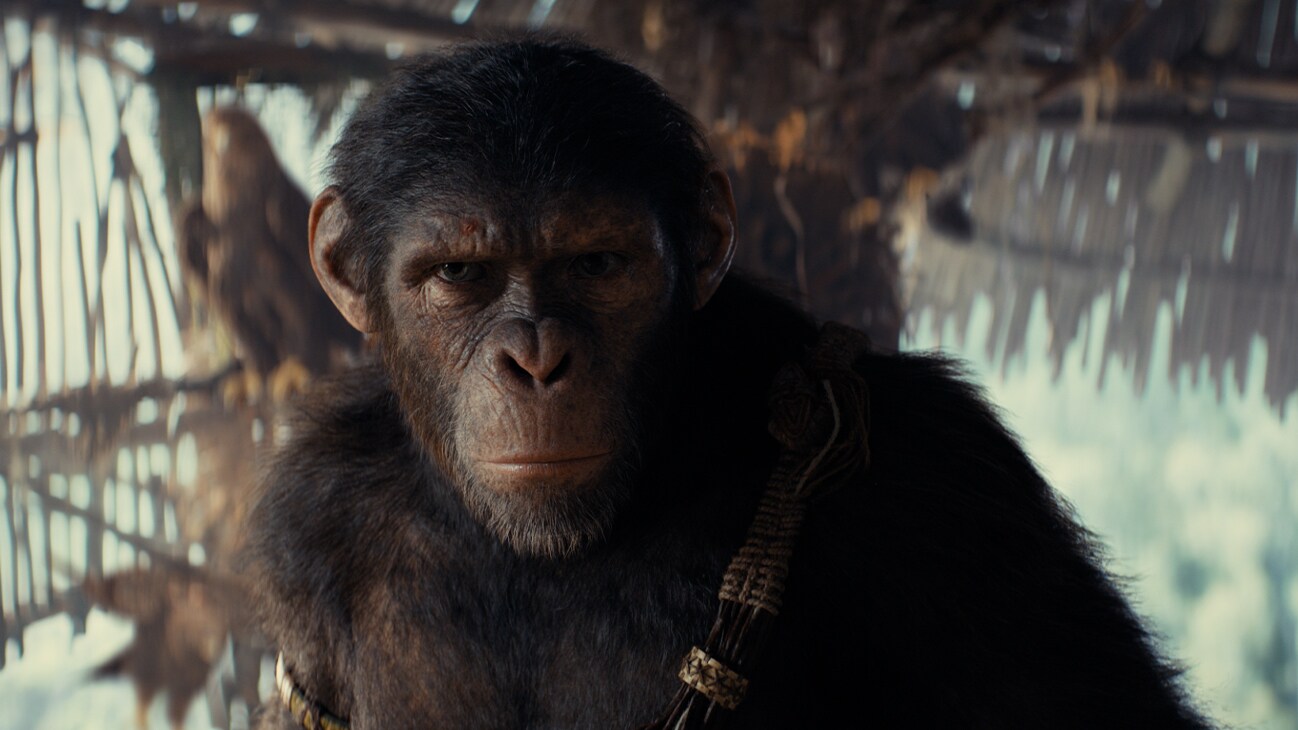 Noa (played by Owen Teague) in 20th Century Studios' KINGDOM OF THE PLANET OF THE APES. Photo courtesy of 20th Century Studios. © 2023 20th Century Studios. All Rights Reserved.