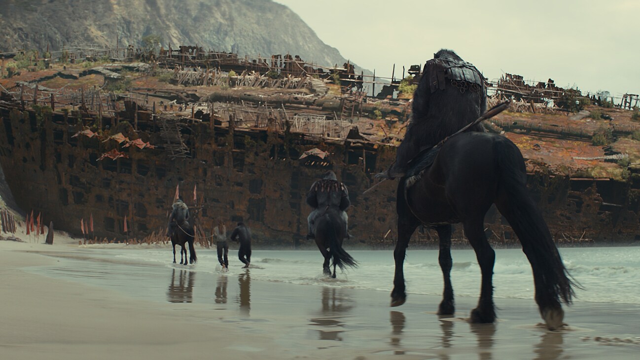 Image of several apes on horses walking through water on a beach from the 20th Century Studios movie, "Kingdom of the Planet of the Apes."