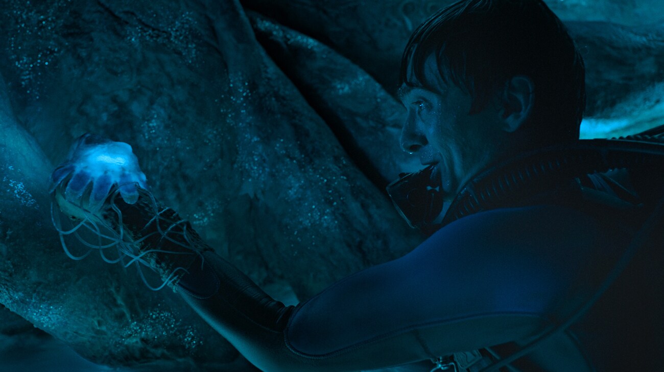Austin Abrams as Jay Gardiner in WHALEFALL.