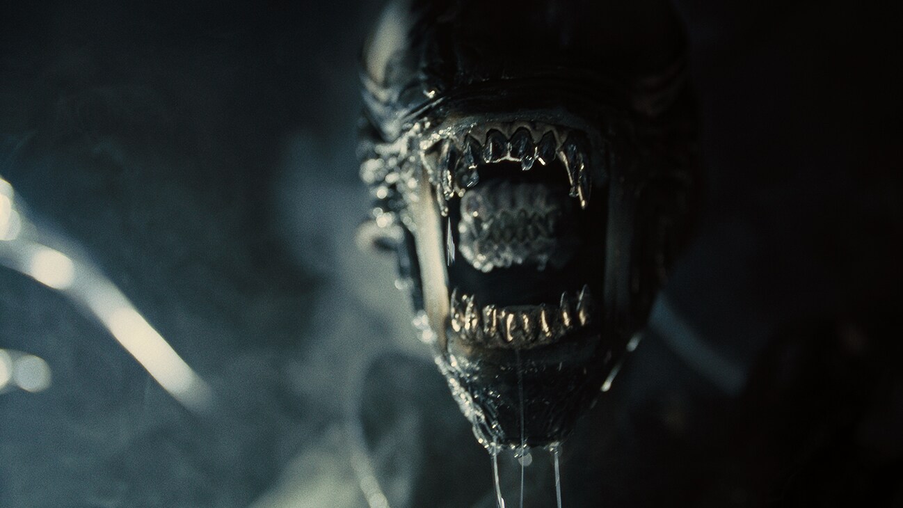 Xenomorph in 20th Century Studios' ALIEN: ROMULUS. Photo courtesy of 20th Century Studios. © 2024 20th Century Studios. All Rights Reserved.