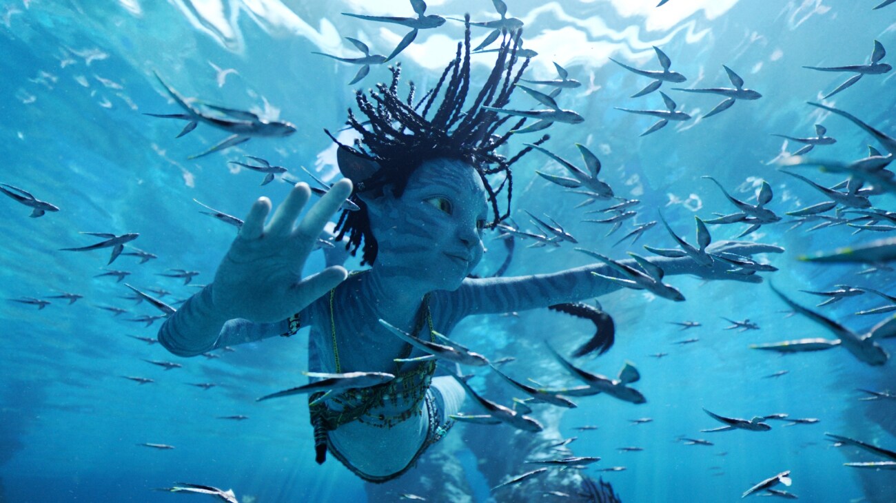 Tuk swims gleefully underwater with a school of glider fin.