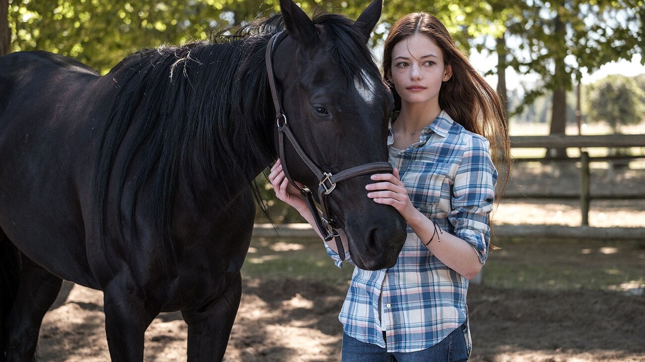 Black Beauty | On Disney+