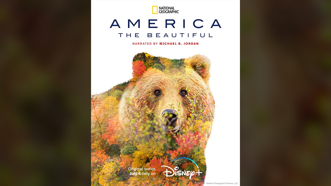 Bear | National Geographic | America the Beautiful | Narrated By Michael B. Jordan | Original series July 4 only on Disney+