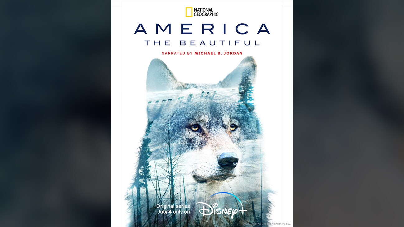 Wolf | National Geographic | America the Beautiful | Narrated By Michael B. Jordan | Original series July 4 only on Disney+