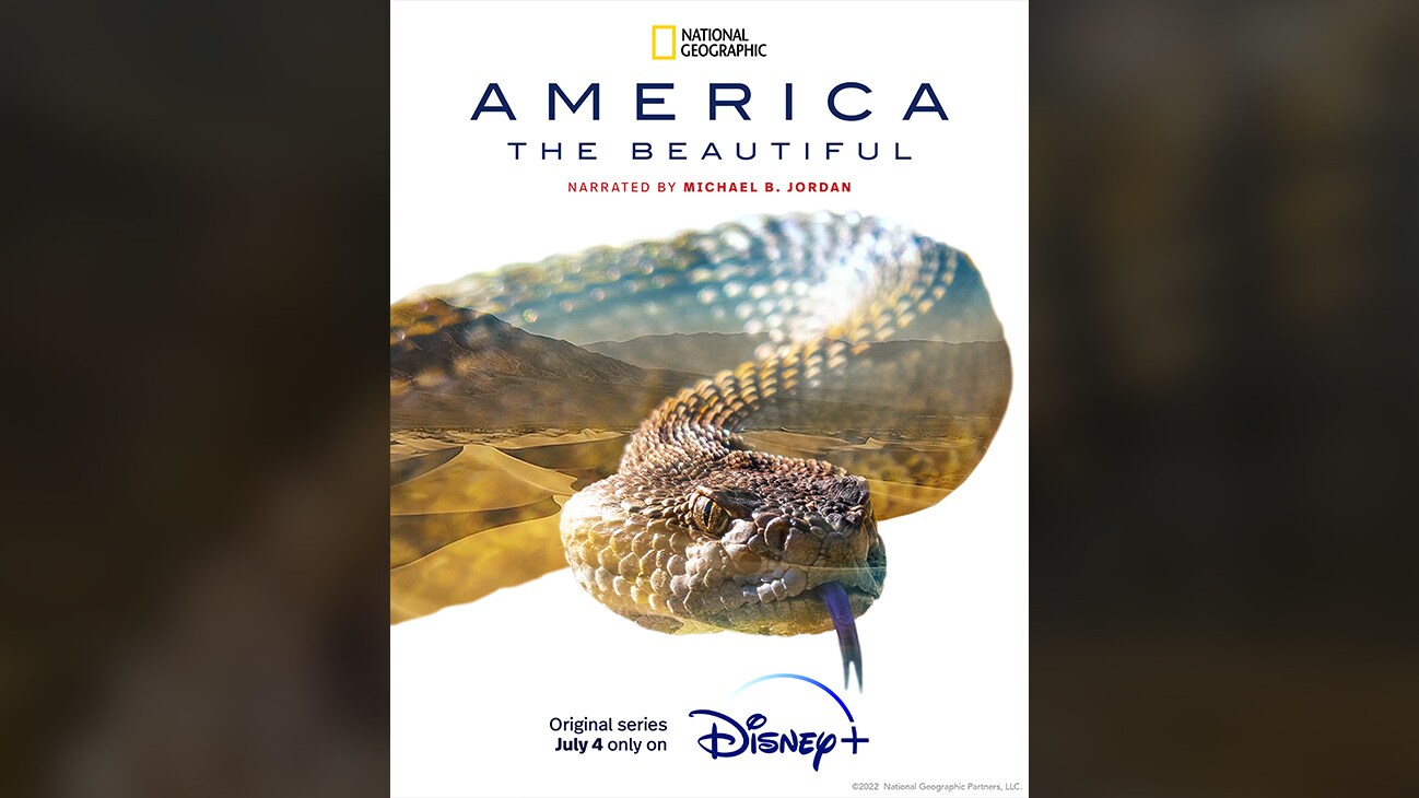 Snake | National Geographic | America the Beautiful | Narrated By Michael B. Jordan | Original series July 4 only on Disney+