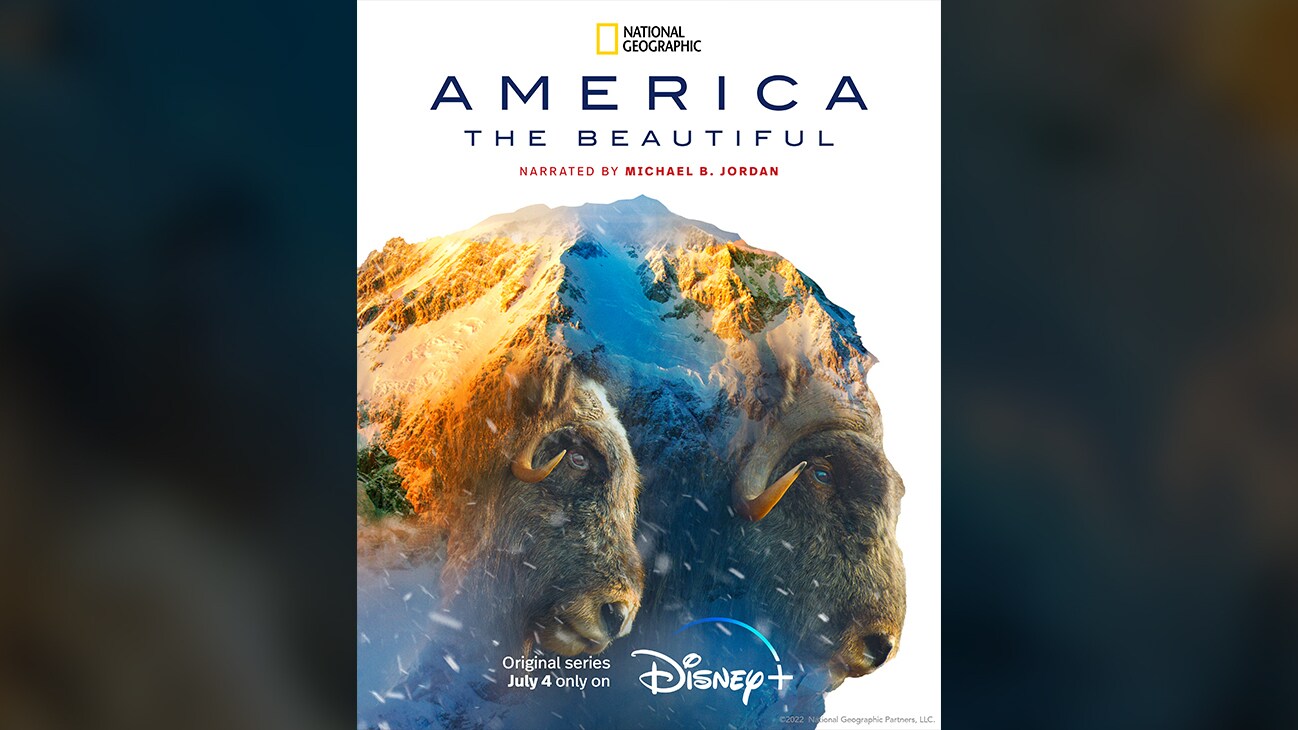 Sheep | National Geographic | America the Beautiful | Narrated By Michael B. Jordan | Original series July 4 only on Disney+