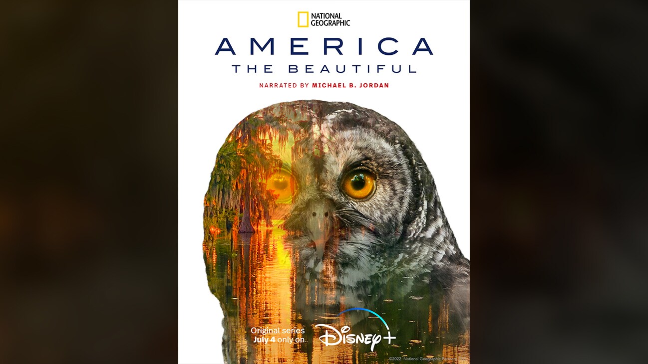 Owl | National Geographic | America the Beautiful | Narrated By Michael B. Jordan | Original series July 4 only on Disney+