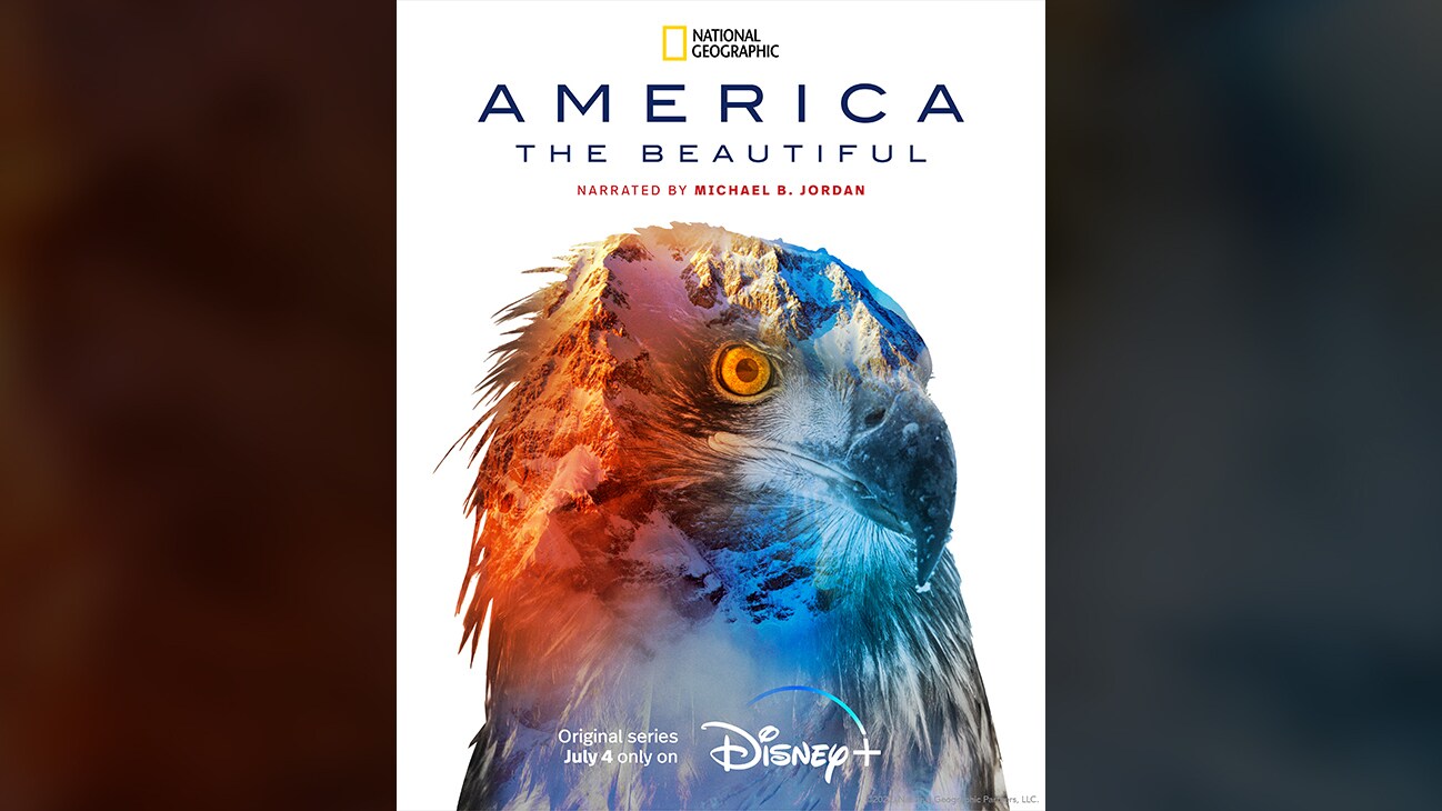 Eagle | National Geographic | America the Beautiful | Narrated By Michael B. Jordan | Original series July 4 only on Disney+