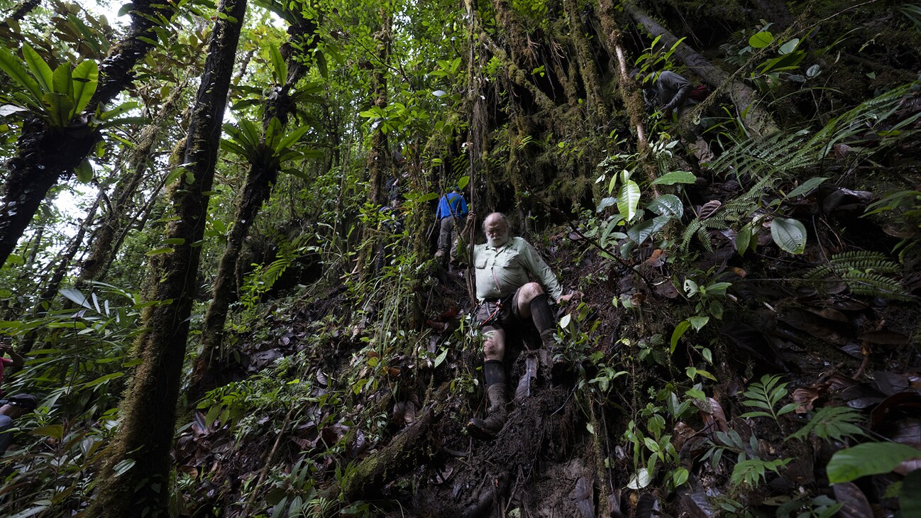 Bruce Means makes his way down treacherous terrain deep in the Guyanese Amazon. (National Geographic/RYAN VALASEK)