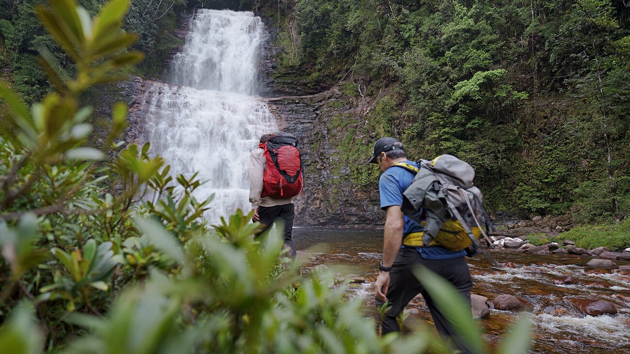 Climbers Alex Honnold and Mark Synnott trekked through the Amazon jungle for days to make a first ascent up the tepui face of Mount Weiassipu in Western Guyana. (National Geographic/Renan Ozturk)