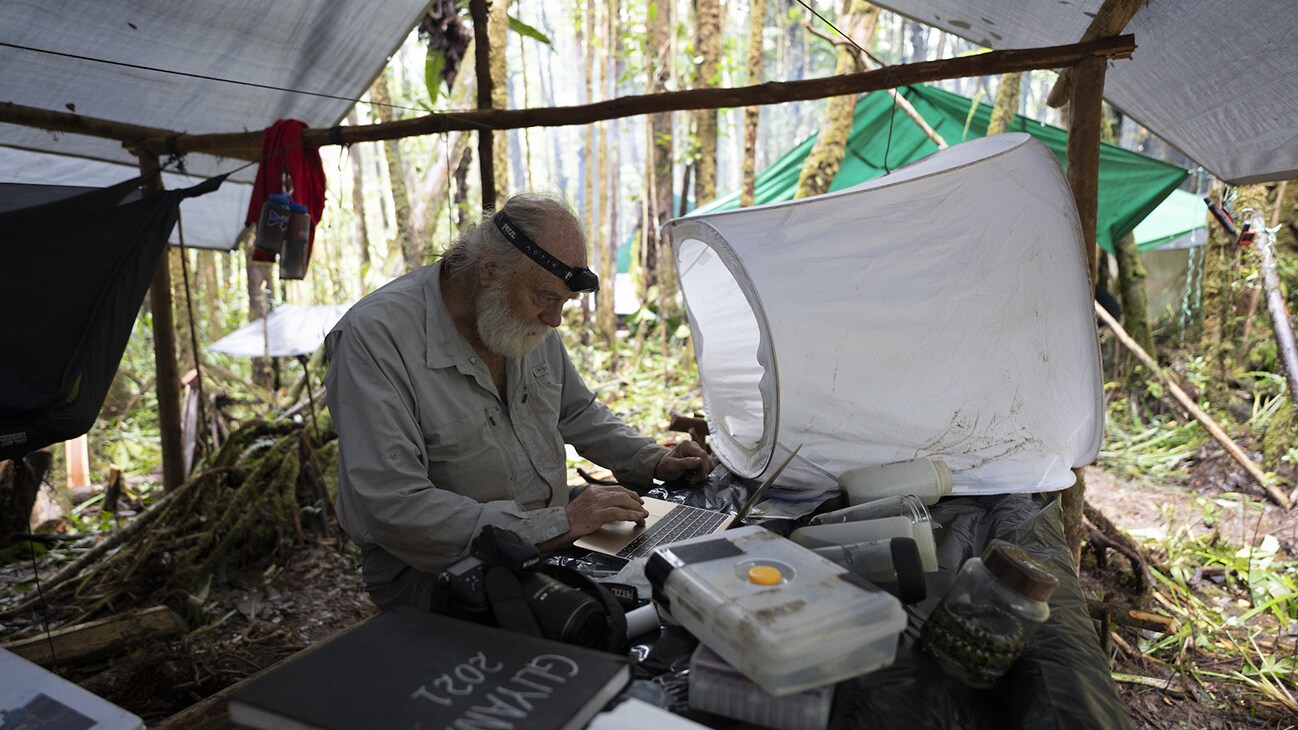 Biologist Bruce Means studies frog species deep in the Amazon of Western Guyana. (National Geographic/RYAN VALASEK)