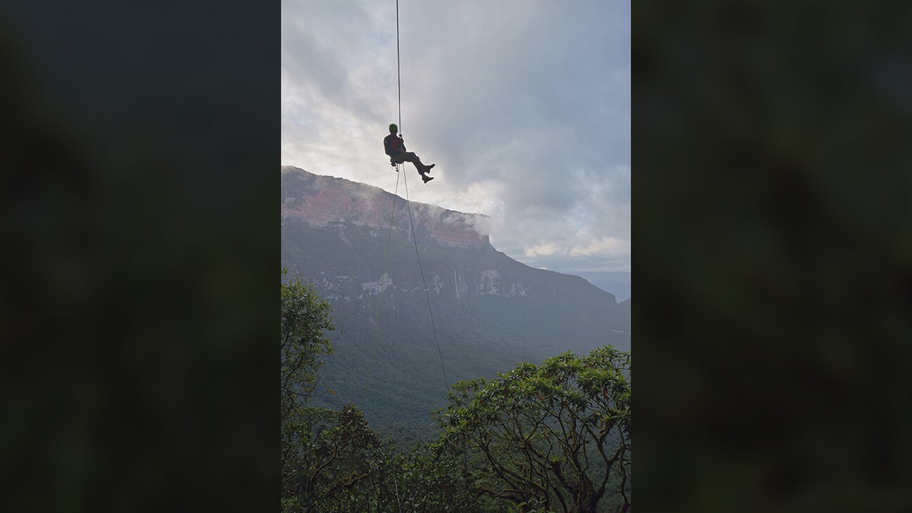 Climber Alex Honnold makes a first ascent up the cliff face of Weiassipu, a tepui in Western Guyana. (National Geographic/Renan Ozturk)