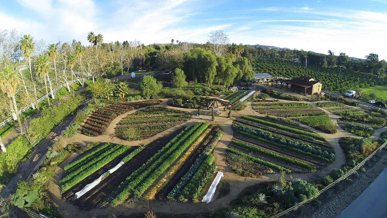 The market garden at Apricot Lane Farms contains over 100 fruit and vegetable varieties, as well as native plant habitats. The garden is also a certified wildlife habitat. (Apricot Lane Farms)