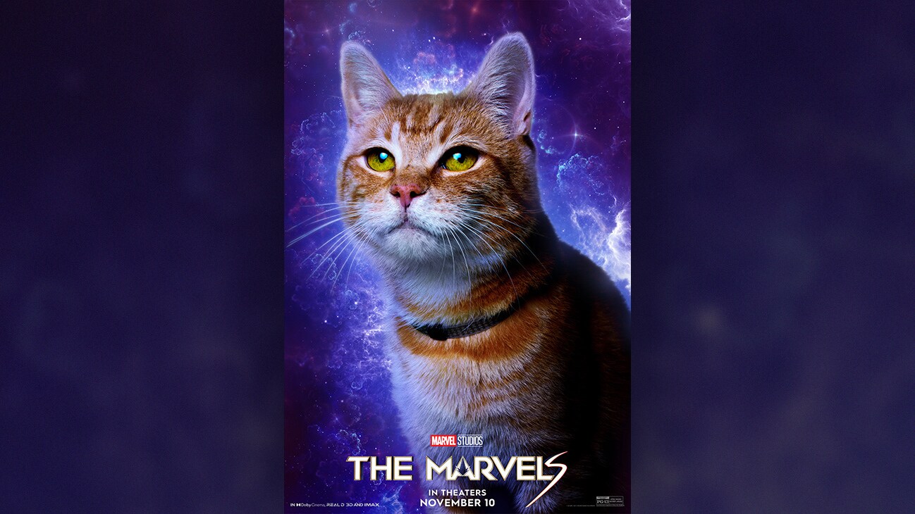 Goose | Marvel Studios | The Marvels | In theaters November 10 | Rated PG-13 | movie poster