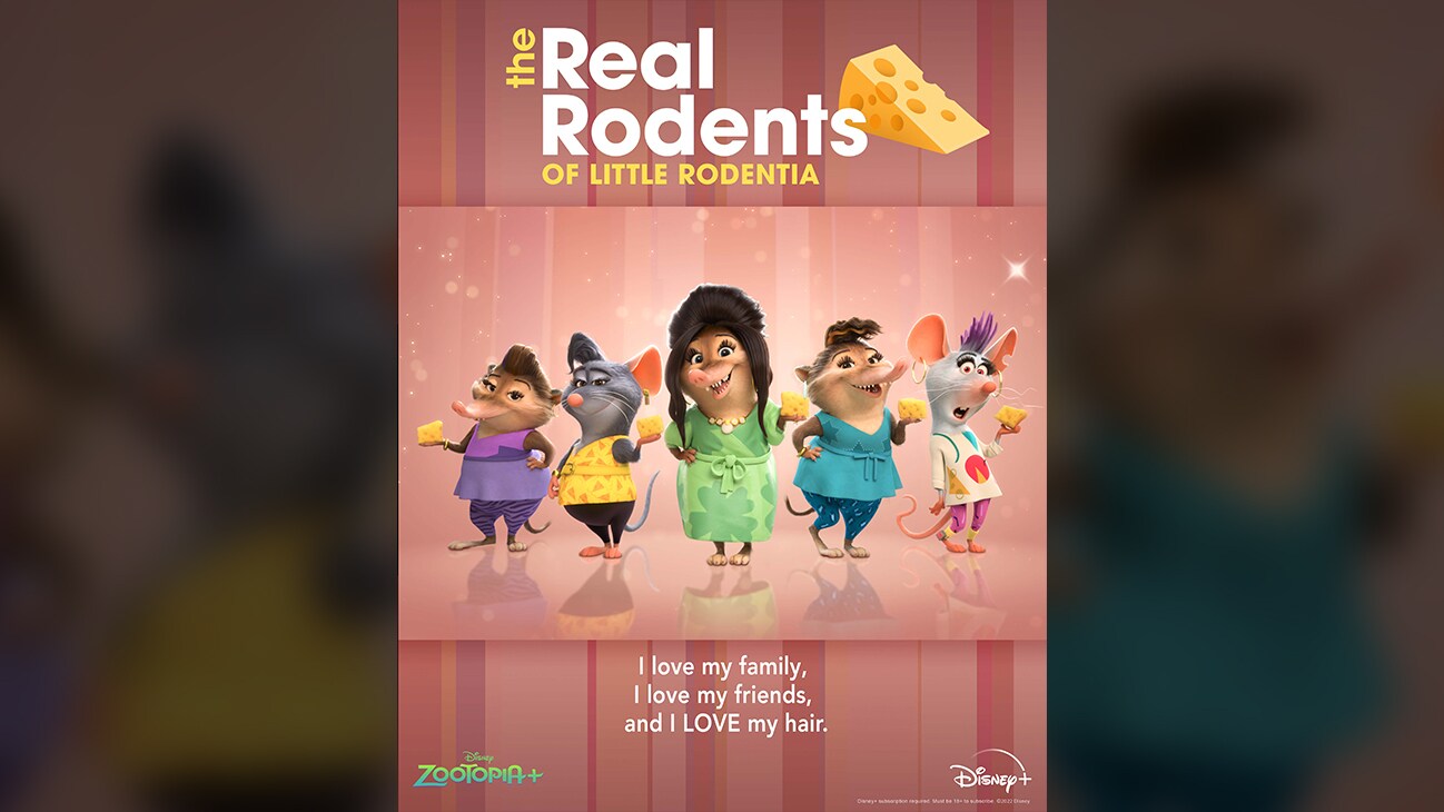 The Real Rodents of Little Rodentia | I love my family, I love my friends, and I LOVE my hair | Several rodents holding up slices of cheese | Watch the 6 all-new episodes for Disney's Zootopia+, NOW STREAMING only on @DisneyPlus!