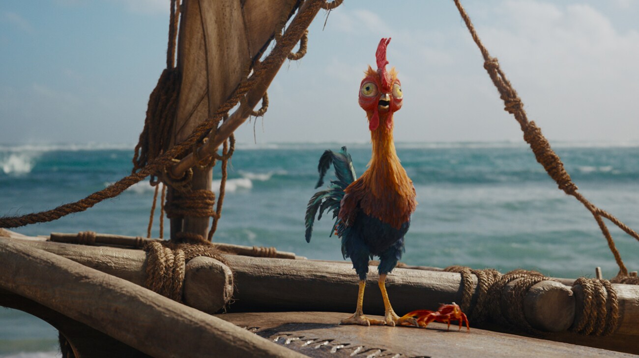 Rooster Heihei in Disney's live-action MOANA. Photo courtesy of Disney. © 2026 Disney Enterprises, Inc. All Rights Reserved.