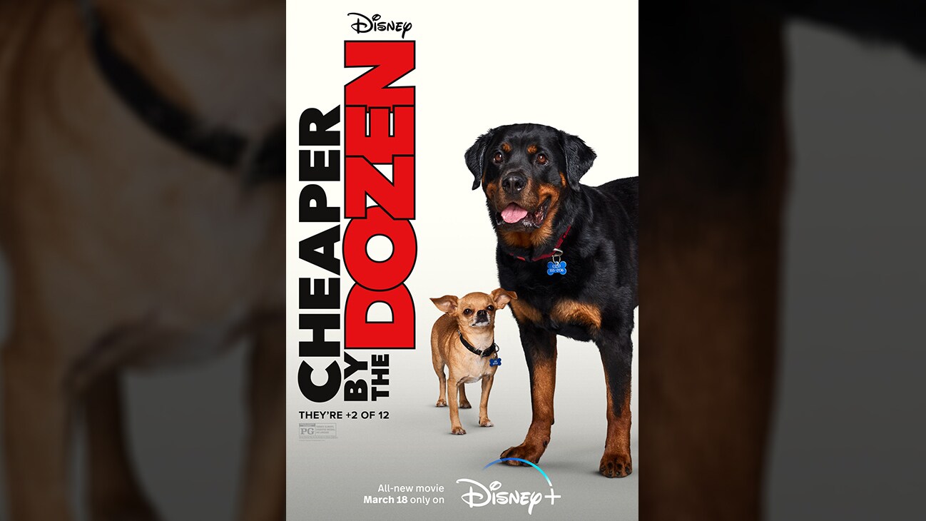 They're +2 of 12 | Disney | Cheaper by the Dozen | All-new movie March 18 only on Disney+ | movie poster