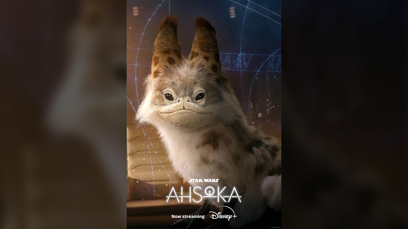 Loth-cat | Star Wars: Ahsoka | Now streaming | Disney+