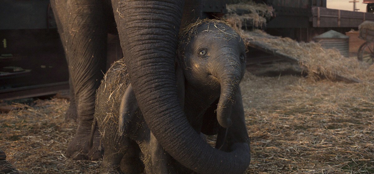 Dumbo stands with his mother from the movie "Dumbo"