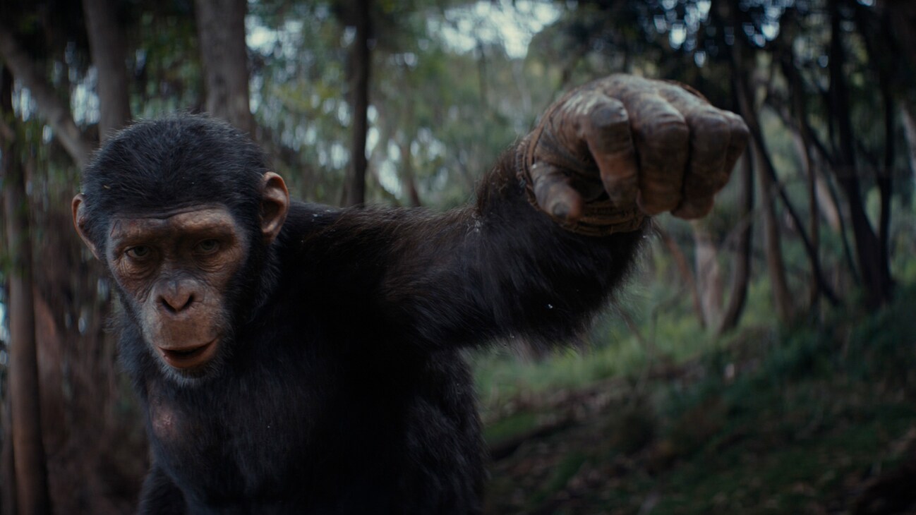 Noa (played by Owen Teague) in 20th Century Studios' KINGDOM OF THE PLANET OF THE APES. Photo courtesy of 20th Century Studios. © 2024 20th Century Studios. All Rights Reserved.