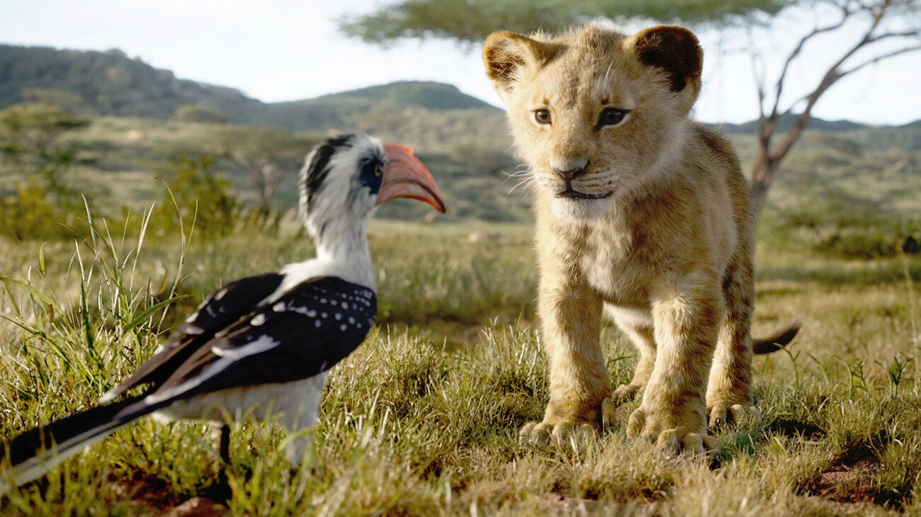 Simba (Donald Glover) speaks with Zazu (John Oliver) in "The Lion King"