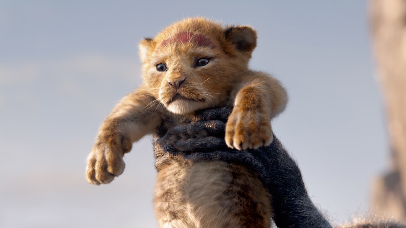 Simba (Donald Glover) in Rafiki's (John Kani) hands in "The Lion King"