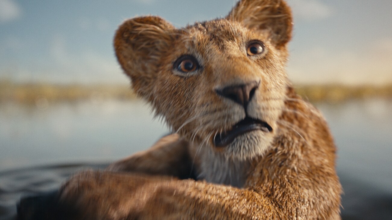 Unveiling Mufasa’s Origin Story: What To Expect From “Mufasa: The Lion ...