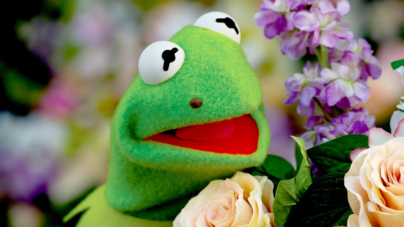 Kermit the Frog in "Muppets Most Wanted"