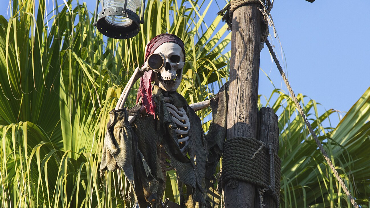 Image of a skeleton dressed as a pirate at the Pirates of the Caribbean ride.
