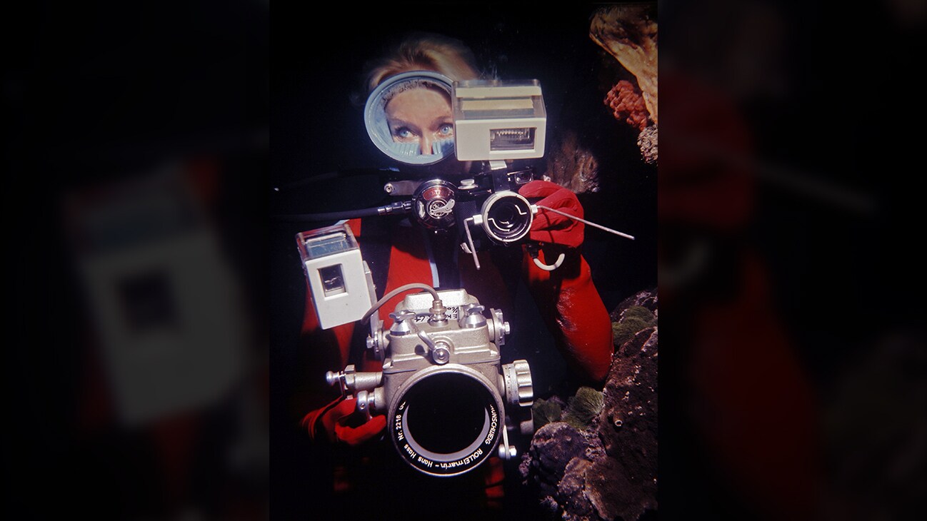 Valerie Taylor underwater with camera equipment, 1970. (photo credit: Ron & Valerie Taylor)