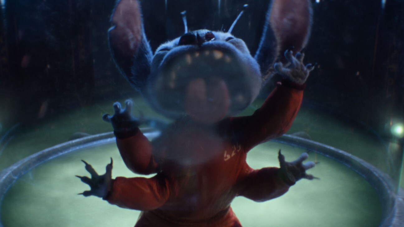 Stitch in Disney’s live-action LILO & STITCH. Photo courtesy of Disney. © 2025 Disney Enterprises Inc. All Rights Reserved.