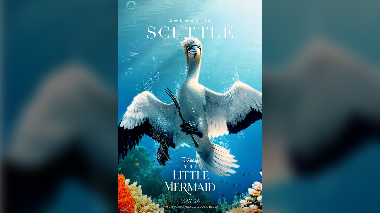 Awkwafina | Scuttle | Disney | The Little Mermaid | May 26 | rated PG