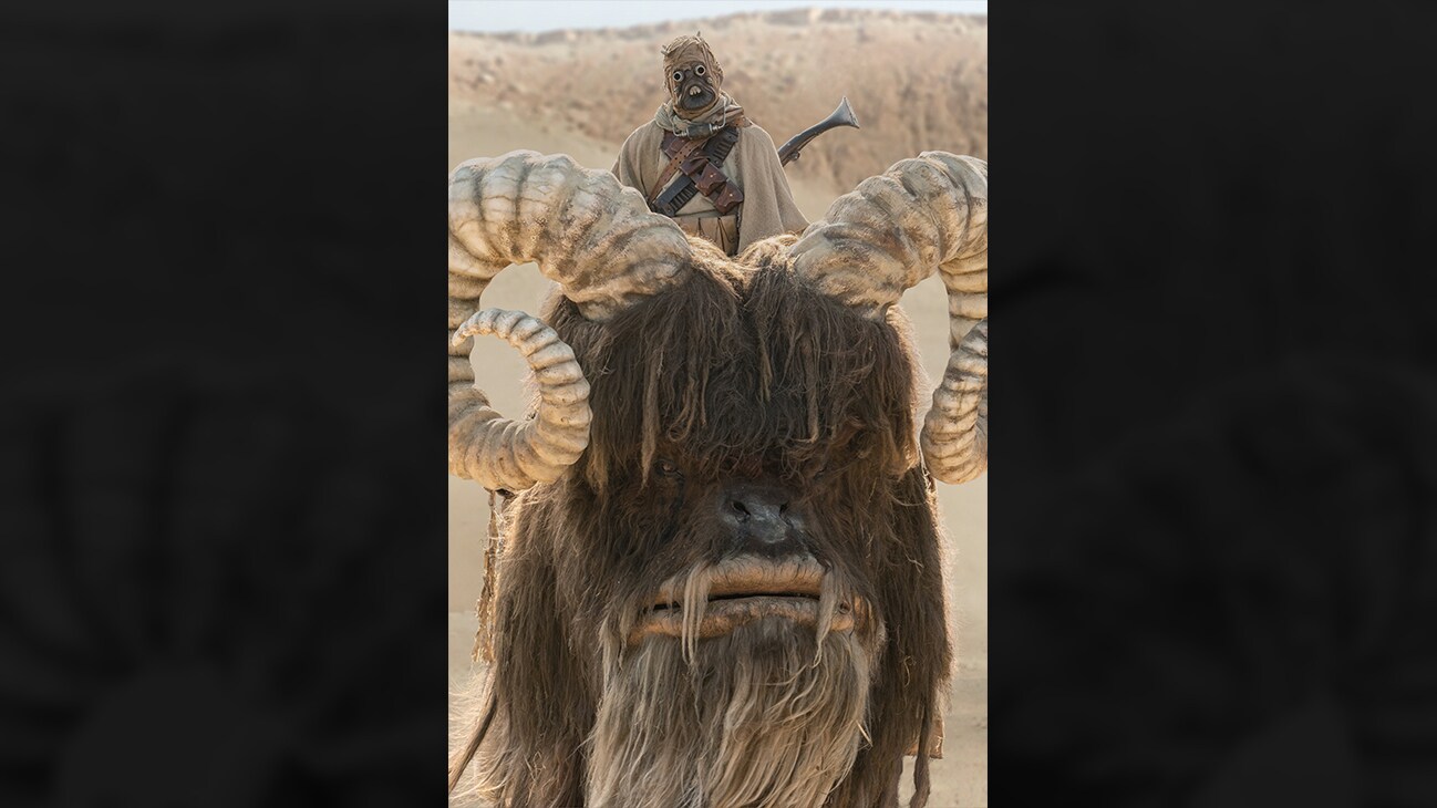 A Tusken Raider on a bantha in the Disney+ Original series, Star Wars: The Mandalorian, Season 2.