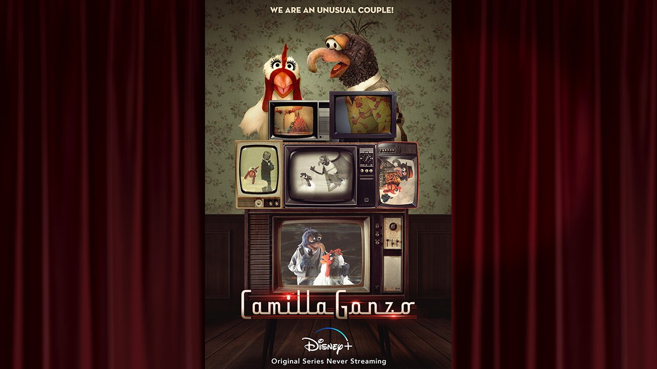 Never Streaming on Disney+ - 'CamillaGonzo'