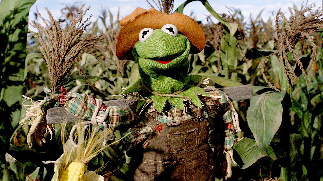 Kermit the Frog as the Scarecrow in The Muppets' Wizard of Oz