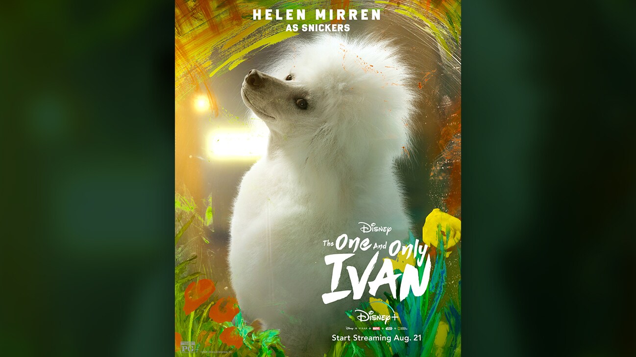 The One And Only Ivan Official Trailer Disney The One And Only Ivan Official Trailer Disney
