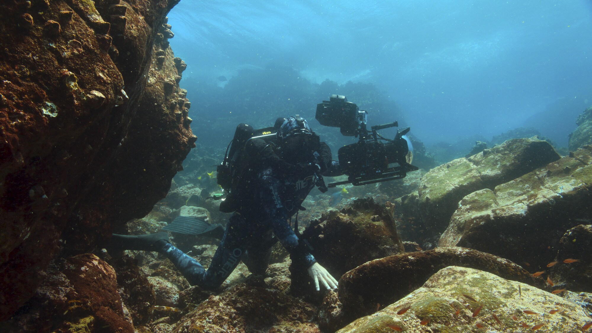 Underwater shot of Bertie Gregory amongst the rocks. (National Geographic for Disney+/Jeff Hester)