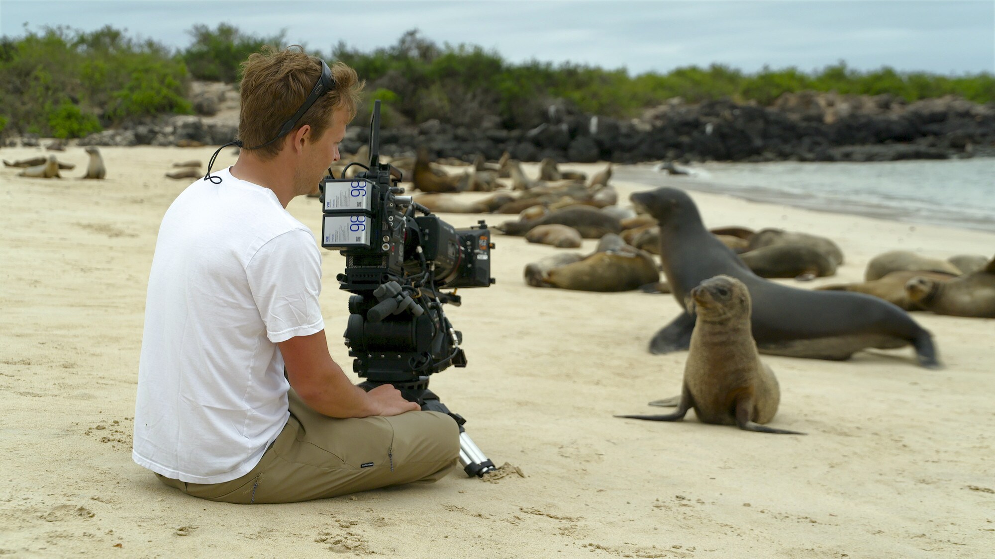 Bertie Gregory filming baby sea lion on the beach. (National Geographic for Disney+/James Brickell)