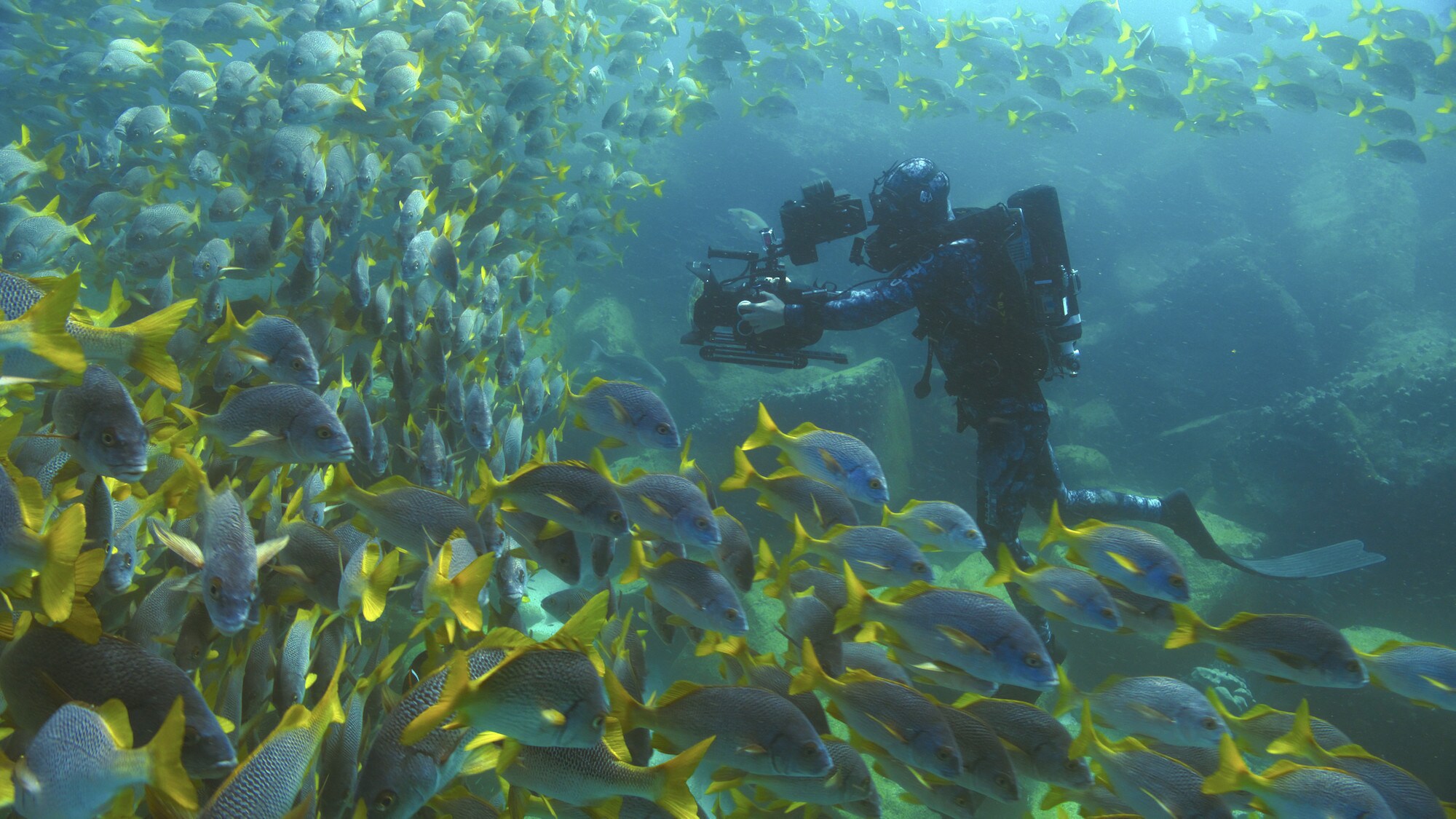 Bertie Gregory filming amongst a large shoal of fish. (National Geographic for Disney+/Jeff Hester)