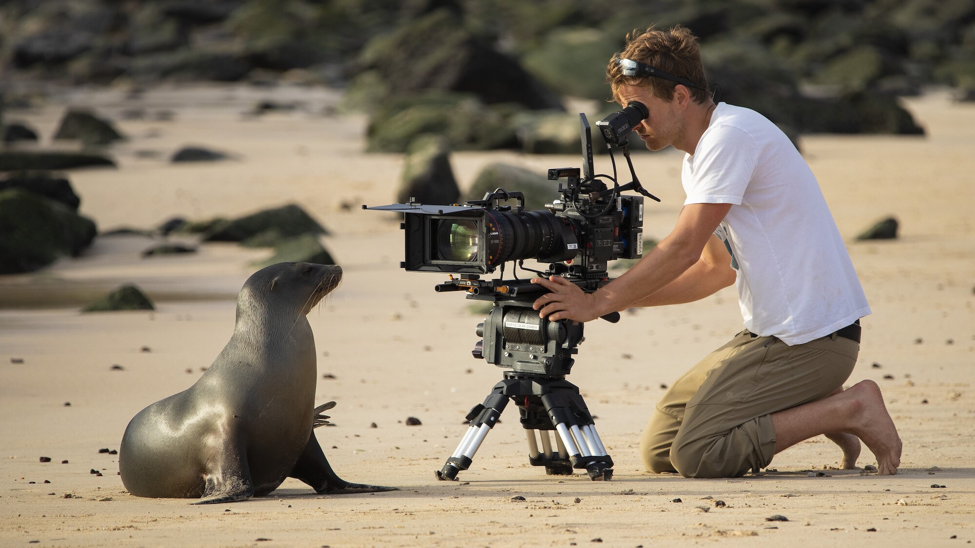 Bertie Gregory filming a seal. (National Geographic for Disney+/James Brickell)
