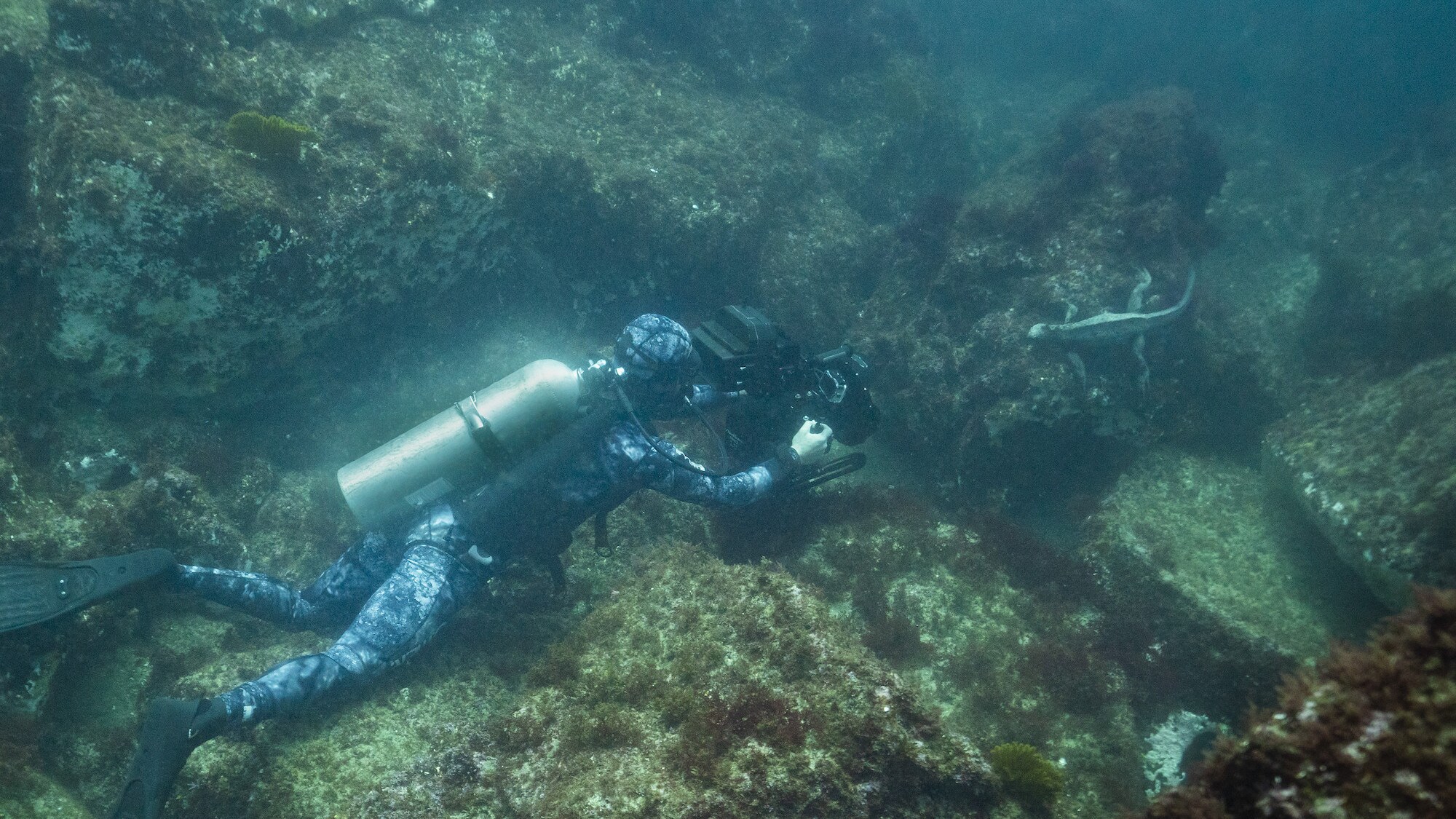 Bertie Gregory filming Marine Iguana underwater. (National Geographic for Disney+/Anna Dimitriadis)