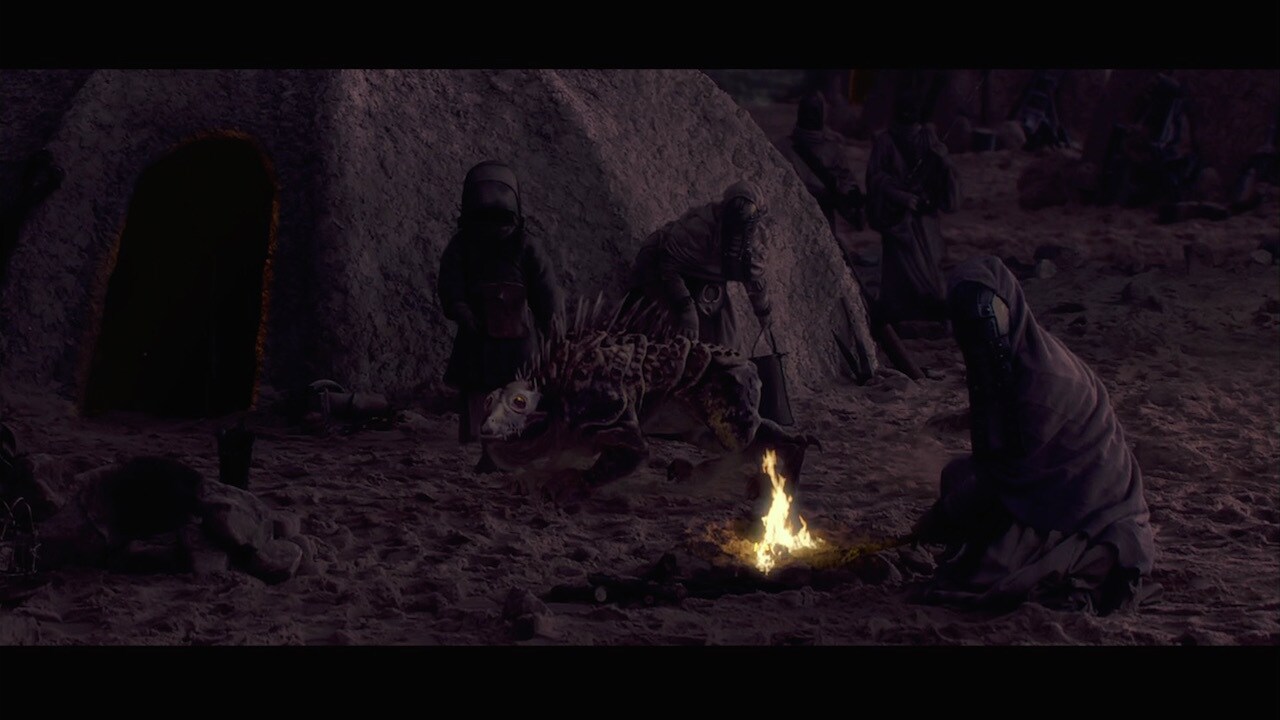 Anakin discovered his mother in a Tusken camp, alive but near death after weeks of ritual torture...