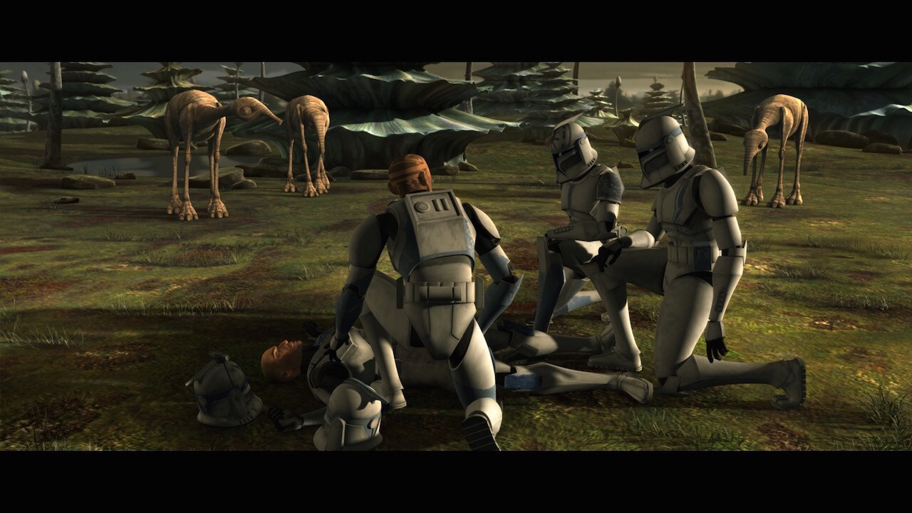 Saleucami is home to flocks of nunas, little swamp turkeys that have also been spotted on Naboo a...