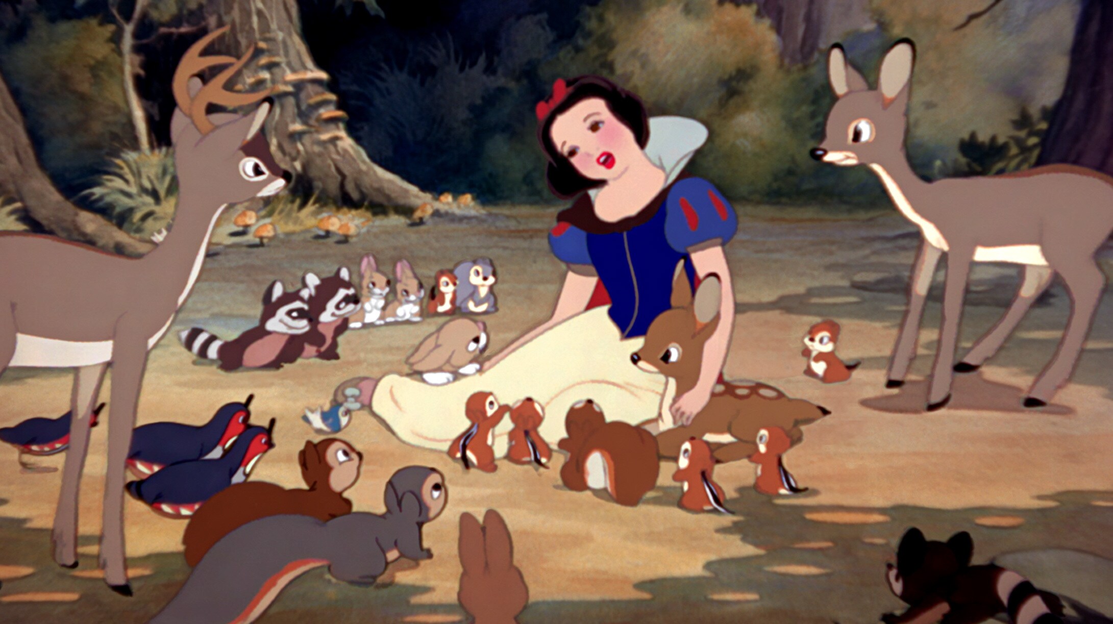 Snow White Photo Gallery   Disney Princess