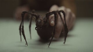 Ghorman souvenir ghorlectipod