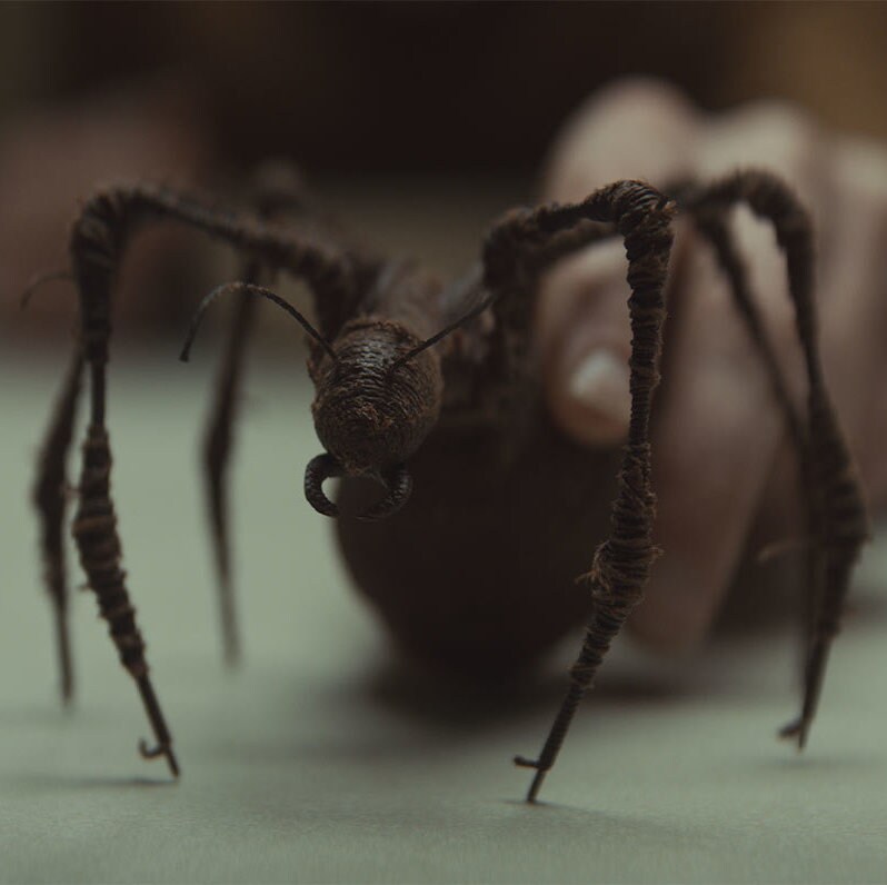 Ghorman souvenir ghorlectipod