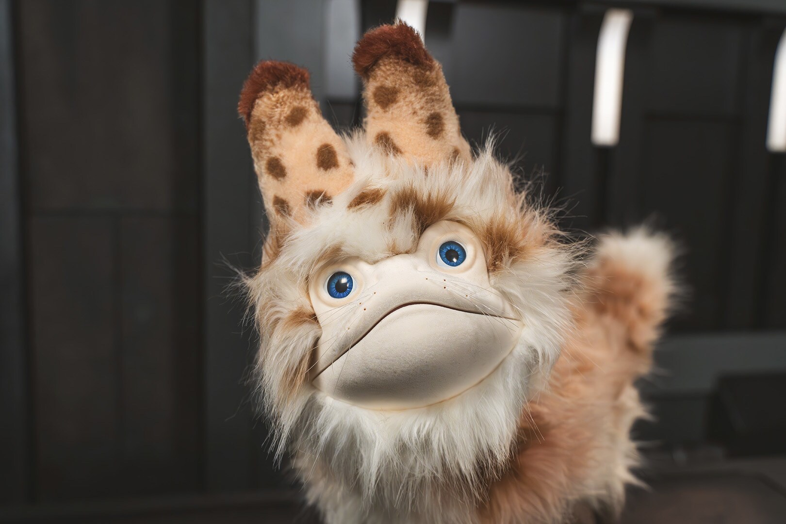 A close up of the Loth-cat collectible toy from DisneyStore.com and Disney Parks as part of Gift of the Galaxy for Life Day 2025.