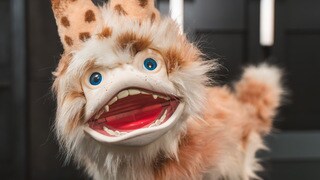 <span>Make Like Sabine Wren and Adopt Your Own Loth-Cat - Gift the Galaxy Exclusive</span>