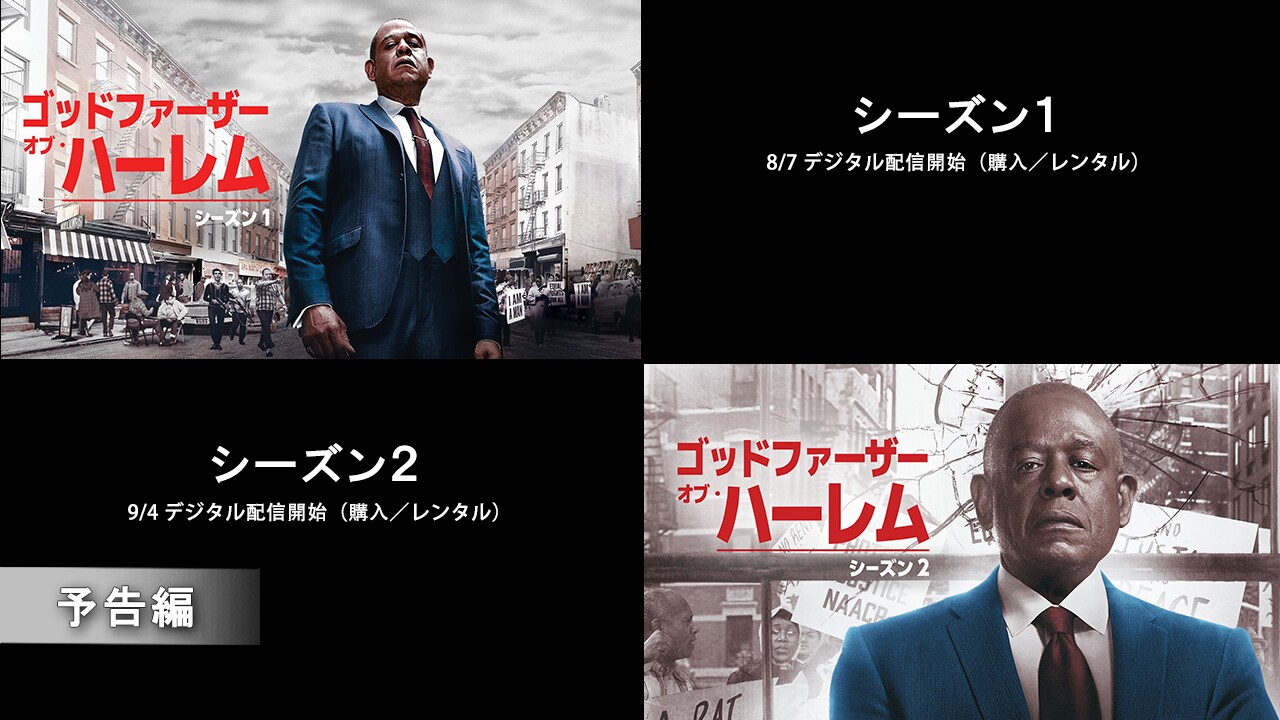 ハーレム ゴッドファーザー・オブ・ハーレム シーズン2｜海外TVドラマ｜ディズニー公式