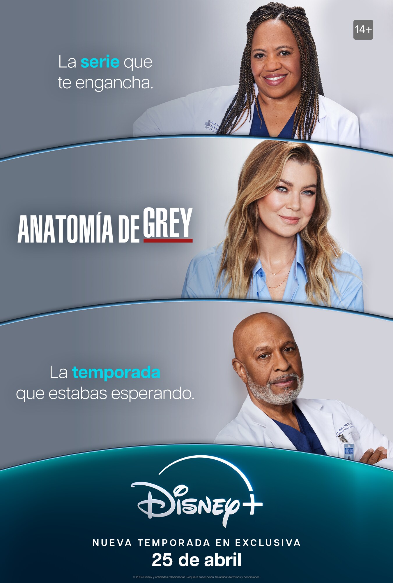 ANATOMÍA DE GREY” LA TEMPORADA 20 LLEGA EL 25 DE ABRIL EN EXCLUSIVA A  DISNEY+ | ES Press